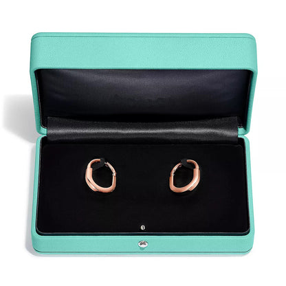 [Aura Jewelry]LOCK MEDIUM DIAMNOND EARRINGS